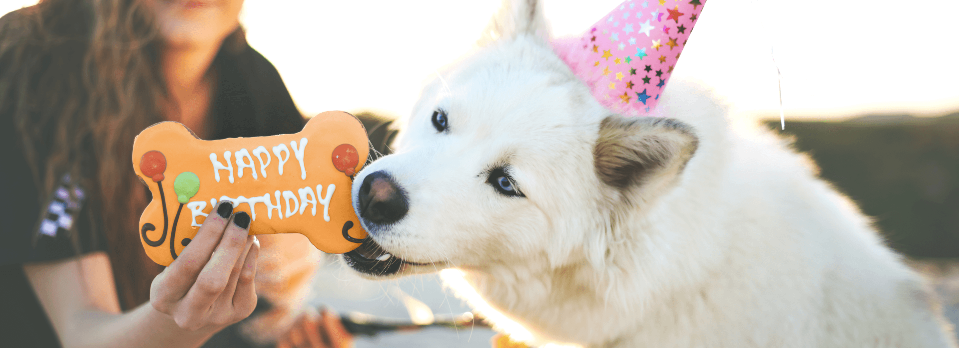 Humanization of pets creating demand for natural colors in pet food